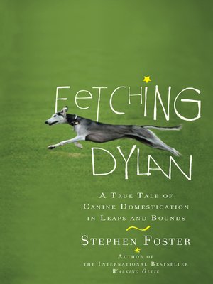 cover image of Fetching Dylan